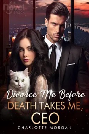 Cover of Divorce Me Before Death Takes Me, CEO