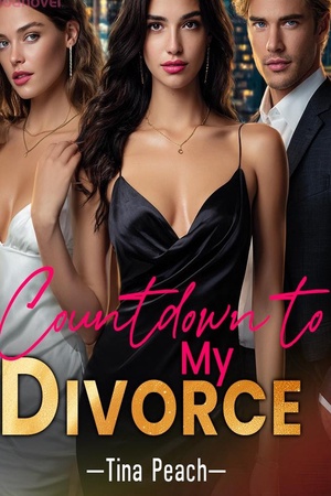 Cover of Countdown to My Divorce (Rachel and William)
