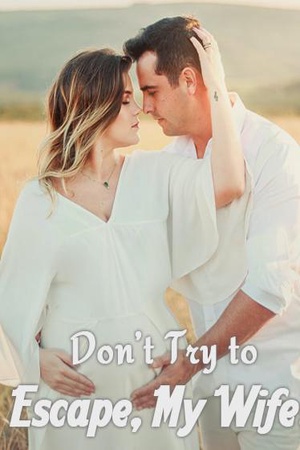 Cover of Don't Try to Escape, My Wife!