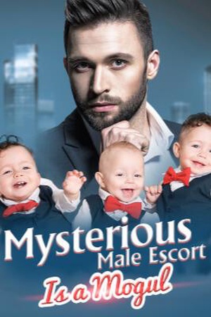 Cover of Mysterious male escort is a mogul