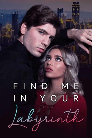 Cover of Find me in your labyrinth (Stella and Jonathan)