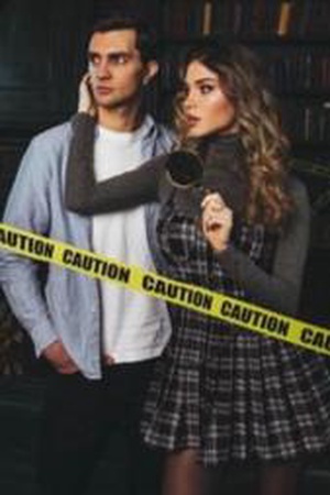 Cover of Dahlia Nicholson and Dustin Rhys Novel